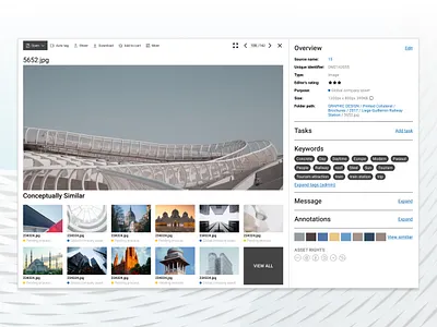 Detail view of DAM asset management clean conceptual design detail digital asset digital management image information layout mockup photos user interface ux