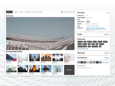 Detail view of DAM asset management clean conceptual design detail digital asset digital management image information layout mockup photos user interface ux