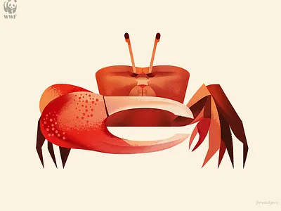 WWF Education Centre illustration, Fiddler Crab animal crab design fiddler crab illustration jlnvasiljevic minimal nature wwf