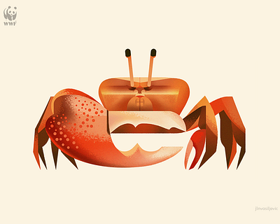 WWF Education Centre illustration, Fiddler Crab animal crab design fiddler crab illustration jlnvasiljevic minimal nature wwf