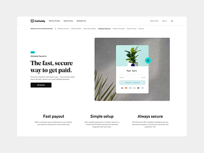 GoDaddy Payments animation graphic design interface lottie motion page payments ux web website