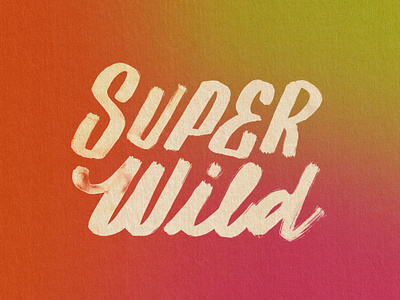 Super Wild Calligraphy calligraphy design handlettering handpainted lettering paint script type typography