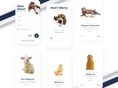 Pet App ui app branding design flat icon minimal typography ui ux