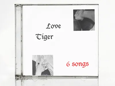 Love Tiger Album Covers (Concept) branding clean design graphic design logo minimal music photography