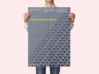 Endangered Bird: Golden-Cheeked Warbler communication design create awareness endangered bird golden cheeked warblers graphic design pattern design poster design sushant kumar rai swiss poster swiss style
