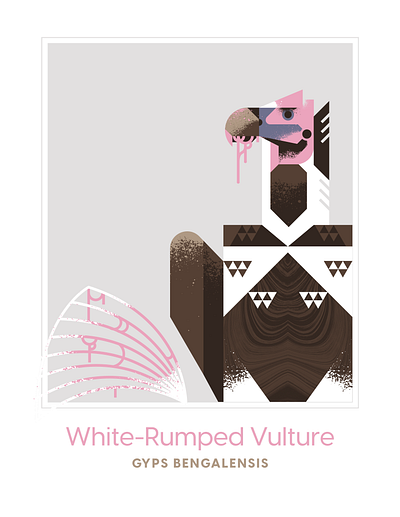 White-Rumped Vulture bird bones brown design eat flight geometric illustration meat pink ribs texture vector vulture