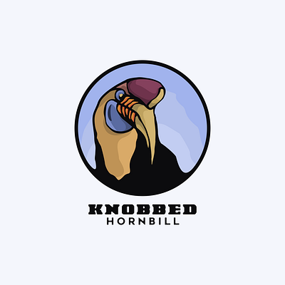 knobbed hornbill animation bird branding design flat hornbill illustration logo typography ui ux vector