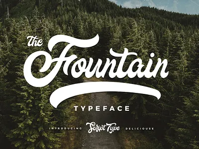 Fountain Typeface baseball branding font modern script type typeface typo typographic