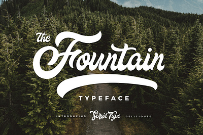 Fountain Typeface baseball branding font modern script type typeface typo typographic