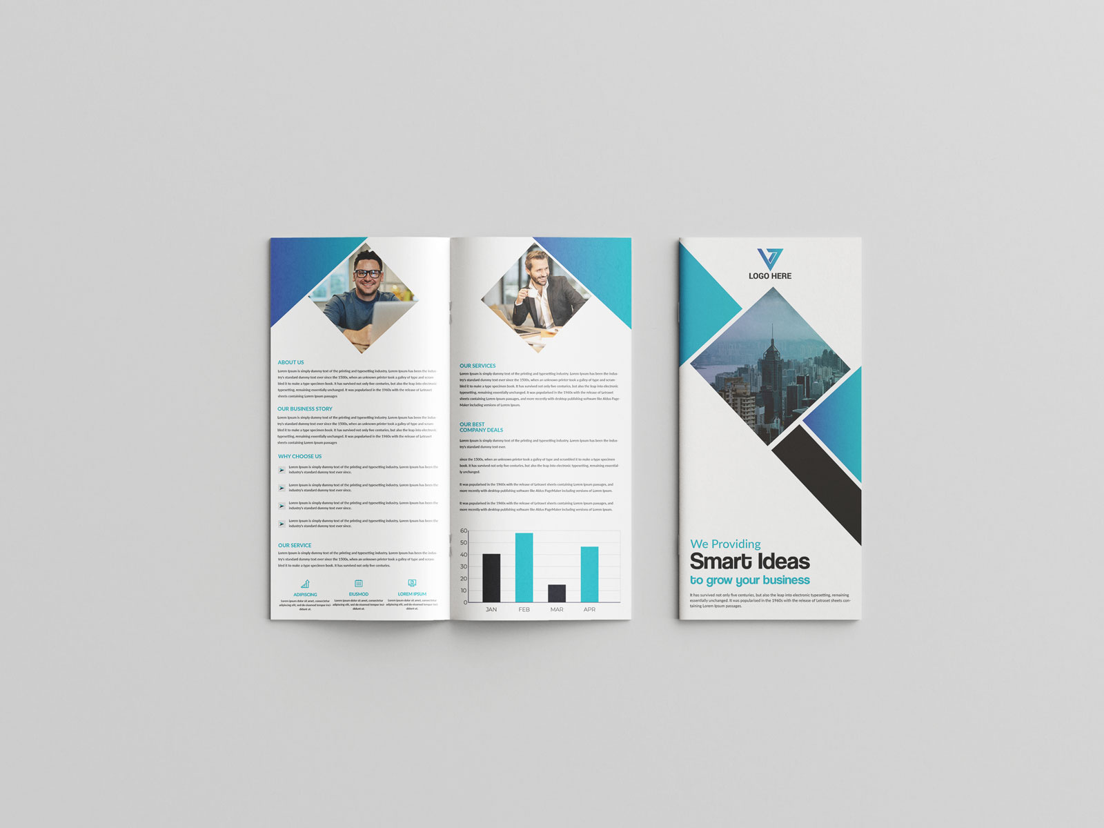 DL Bi-Fold Brochure bifold brochure dl bifold dl bifold brochure dl brochure dl flyer trifold brochure z fold brochure