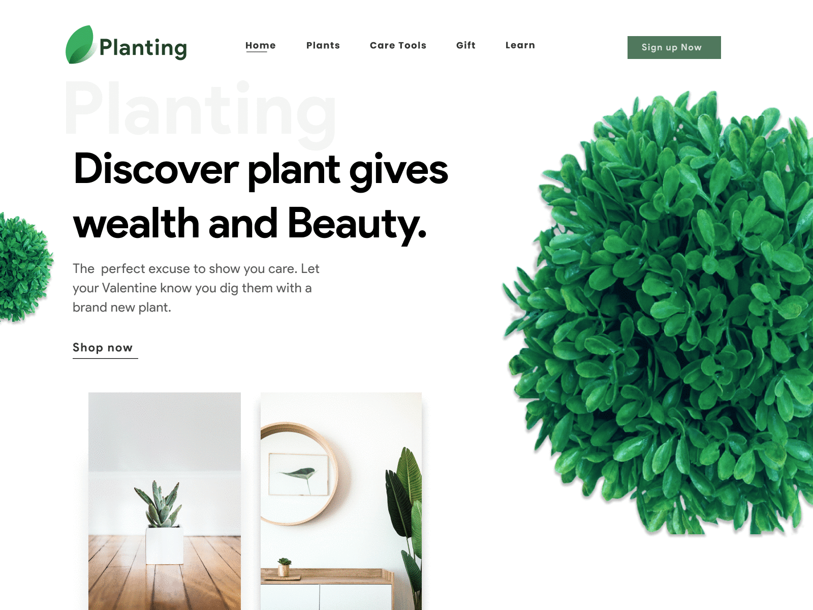 Planting - Landing page exploration 🍀 card ui gardening gardens green landing design landing page plant planting plants tree trending ui ui design ux web web app webdesign webdevelopement website website design