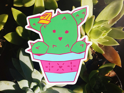 Catcus 🌵 adorable cactus cat catcus character cute distressed girly handmade illustration kawaii mascot puro puro san antonio san antonio succulent texan texas