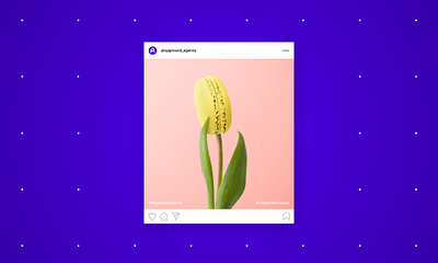 Tulip - Playground Social Media compositing design feed flower graphic macaron purple social socialmedia tulip