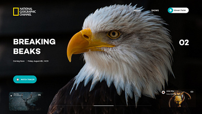 NatGeo Stream animal design minimal nationalgeography stream ui ux web