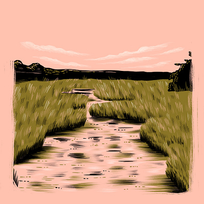 Delaware camp delaware explore hike illustration landscape marsh nature run swamp