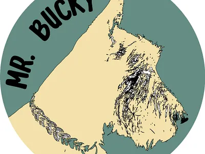 Mr. Bucky - Mr. Bucky Boutique illustrator instagram post logo typhography