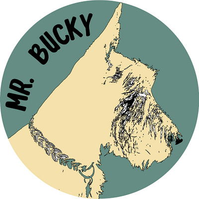 Mr. Bucky - Mr. Bucky Boutique illustrator instagram post logo typhography