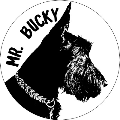 Mr. Bucky - Mr. Bucky Boutique design illustrator instagram post logo typhography