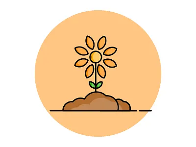 Sunflower flower rose summer sun sunflower sunflowers