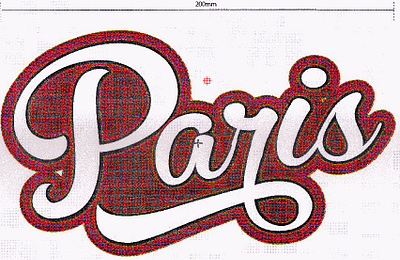 Paris Chenille embroidery Digitized embroidery design logo digitizing