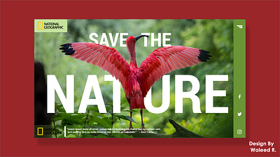 Save the Nature branding copywriting agecny web design design graphic design nature web design nature web desin save the nature ui ux web design web design inspiration