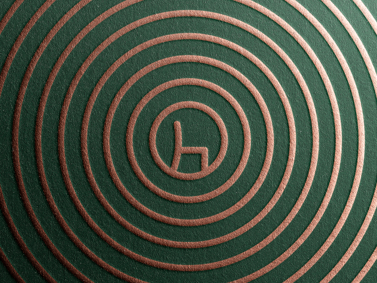 Example of Tree Ring Pattern for Chair-makers Visual Identity