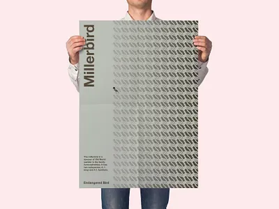 Endangered Bird: Millerbird communication design design jombie endangered bird graphic design millerbird pattern design poster design sushant kumar rai swiss design swiss poster