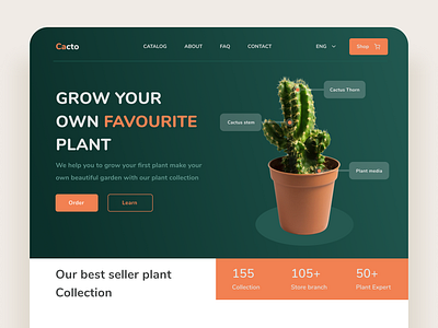 Plant Store Landing Page branding cactus clean design desktop ecommerce garden green illustration mobile app plant pot store task ui uiux water website white