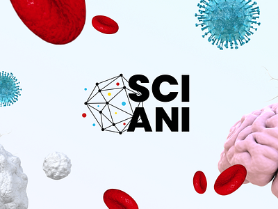 Sci Ani - Branding and Website branding celerart design graphic design illustration logo ui ux vector web design