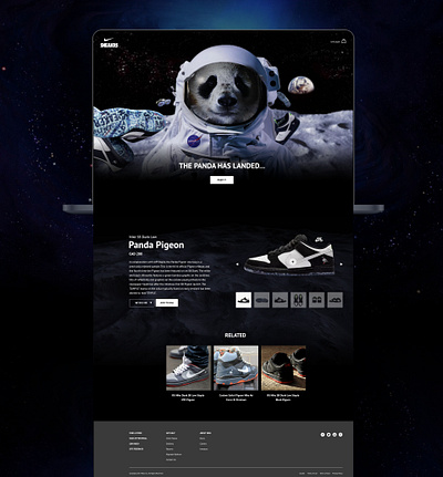 Panda Pigeo Nike SB design e commerce ui ux web design