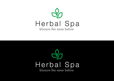 Logo Design - Spa branding creative design graphic design illustrator logo
