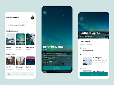 Tour Booking App app booking app clean ui design interfacedesign minimalistic design mobile app design mobile ui ui user interface