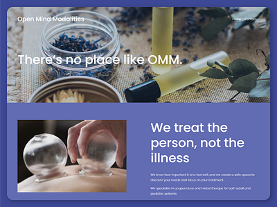 Open Mind Modalities Acupuncture squarespace web design