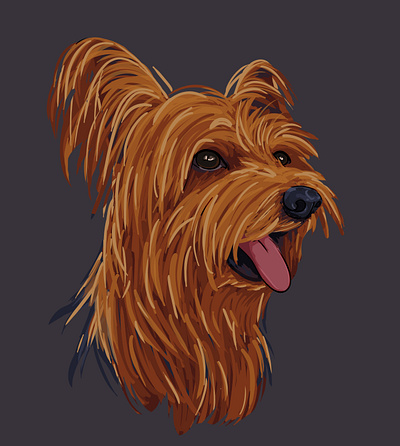 Dalí animal animalillustration art children art children book illustration dog dogillustration illustration pet portrait yorkie