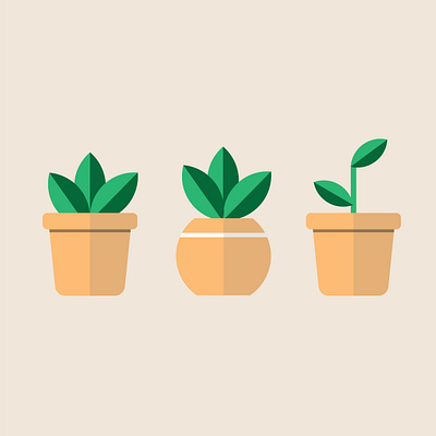 Plants adobe illustrator illustration plants