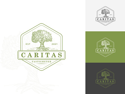 Caritas Modern logo 3d brand design brand identity branding colorful logo company logo craft design design flat graphic design logo logo design logo mark logo type minimalist logo modern logo tree logo vector vintage logo