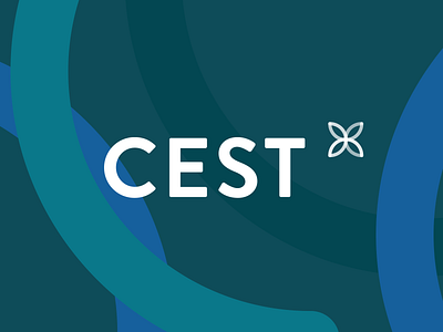 CEST Logo branding design logo quebec redesign sigmund website