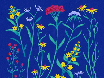 Wildflowers art artwork botanical art digital art digital illustration digital painting floral art flowers illustration pattern procreate surface design wildflowers
