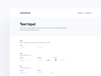 BlueReceipt’s Design System: Pangea ✶ Text Input bluereceipt design system hand off input pattern saas text field text input text input guideline text input spacing text input states text input structure ui