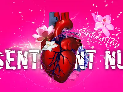 Sentiment Nu 3d design illustration motion graphics дизайн