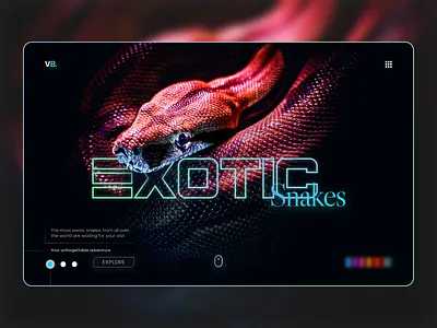 Exotic snakes home page design exotic snakes typography ui ux web design