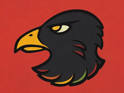 Chicago (Black)Hawks Rebrand bird branding hawk hockey logo sports