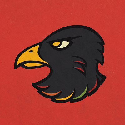 Chicago (Black)Hawks Rebrand bird branding hawk hockey logo sports