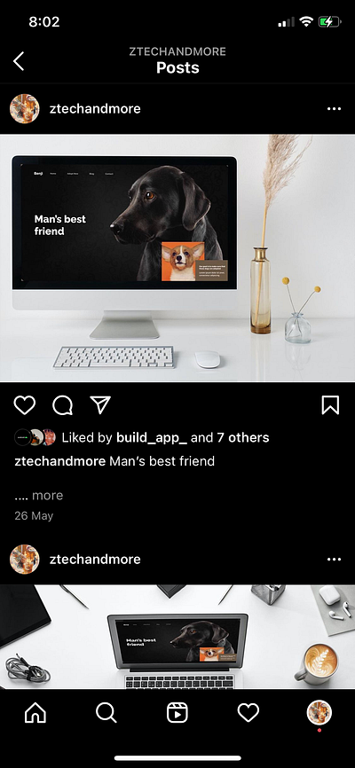 Man’s Best Friend branding design typography ui ux web