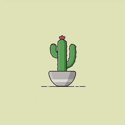 Cactus adobe illustrator cactus illustration