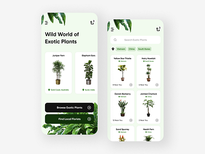 Wild World of Exotic Plants - Mobile UI Concept app design app ui app ui design branding contrast green iphone plants typography user interface