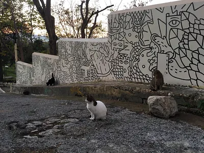 Cats architecture athens black brush cat cats characters doodle graffiti graphics handdrawn illustration interior line marker mural outside sdeviano wall