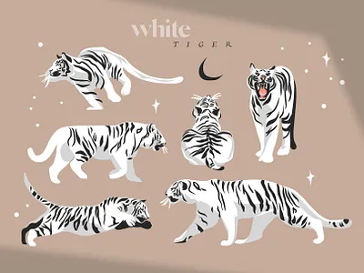 White tiger abstract adobe draw animals art cartoon celestial character design design digital art drawing flat graphic graphic design illustration ipad pro logo procreate tiger vector vectorart