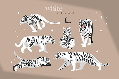 White tiger abstract adobe draw animals art cartoon celestial character design design digital art drawing flat graphic graphic design illustration ipad pro logo procreate tiger vector vectorart