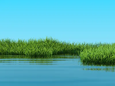 Grass Test 3d c4d cinema4d direction motion graphics